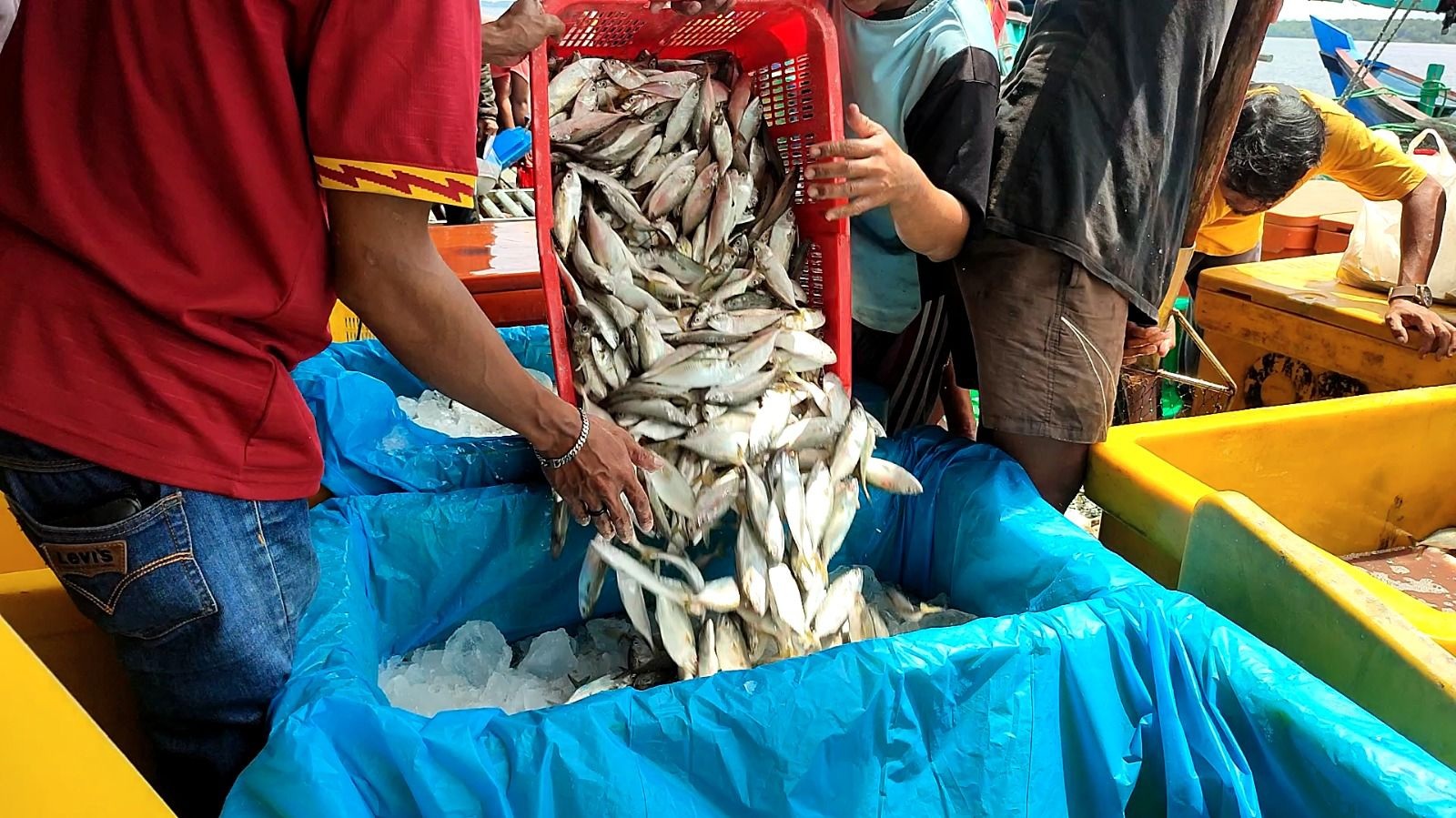 Suara dari Kalimantan Beri Dukungan Kinerja Menteri KKP: Pemerintah Hadir Memberikan Kepastian